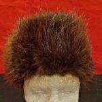 Beaver Hat