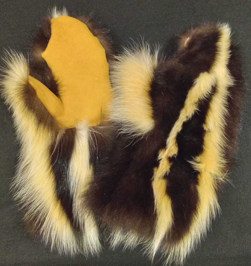 Skunk Mittens